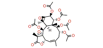 Stecholide K